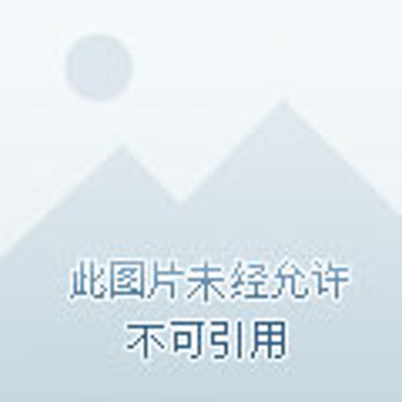 郴州贸易公司：区域经济发展的缩影